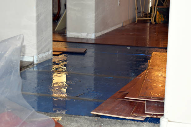 Professional Water Damage Restoration technician working in Philo, IL